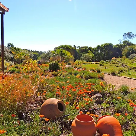 Casa Dos Sonhos, Private Terrace, Quiet Location, Walking To Village, Ecological Pool, Pets Considered, Nature Friendly *