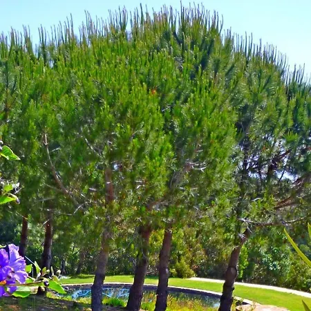 Casa Dos Sonhos, Private Terrace, Quiet Location, Walking To Village, Ecological Pool, Pets Considered, Nature Friendly Lägenhet *