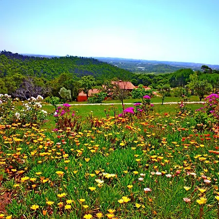 Lägenhet Casa Dos Sonhos, Private Terrace, Quiet Location, Walking To Village, Ecological Pool, Pets Considered, Nature Friendly Barao de Sao Joao