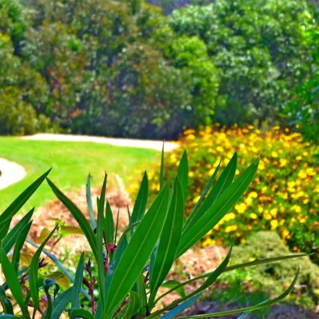 Casa Dos Sonhos, Private Terrace, Quiet Location, Walking To Village, Ecological Pool, Pets Considered, Nature Friendly Appartement Barao de Sao Joao