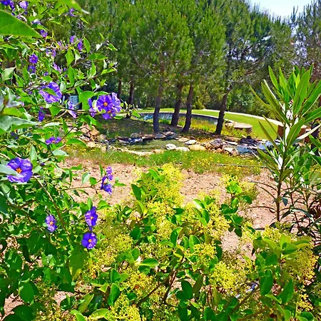 Casa Dos Sonhos, Private Terrace, Quiet Location, Walking To Village, Ecological Pool, Pets Considered, Nature Friendly *