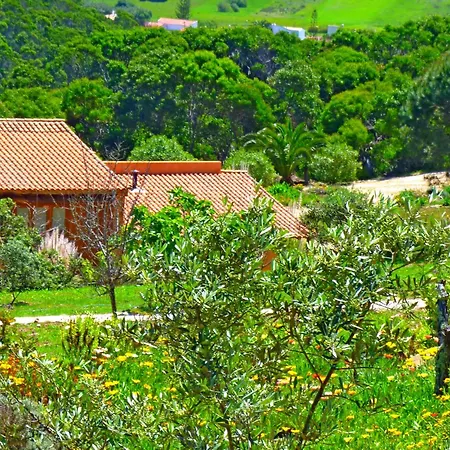 Casa Dos Sonhos, Private Terrace, Quiet Location, Walking To Village, Ecological Pool, Pets Considered, Nature Friendly