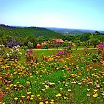 Lägenhet Casa Dos Sonhos, Private Terrace, Quiet Location, Walking To Village, Ecological Pool, Pets Considered, Nature Friendly Barao de Sao Joao