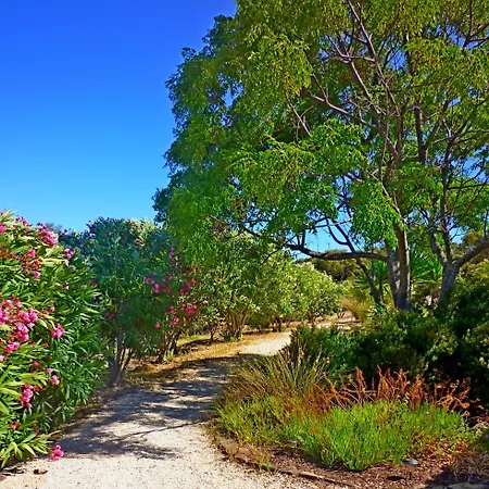Casa Dos Sonhos, Private Terrace, Quiet Location, Walking To Village, Ecological Pool, Pets Considered, Nature Friendly Appartement *