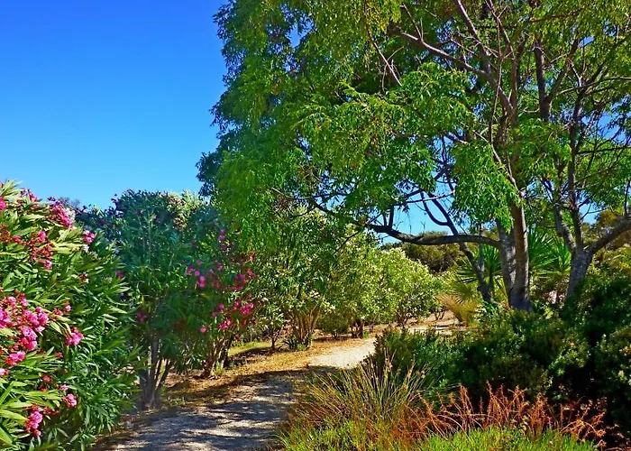 Casa Dos Sonhos, Private Terrace, Quiet Location, Walking To Village, Ecological Pool, Pets Considered, Nature Friendly Διαμέρισμα