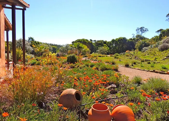 Casa Dos Sonhos, Private Terrace, Quiet Location, Walking To Village, Ecological Pool, Pets Considered, Nature Friendly *