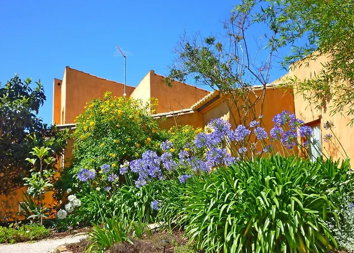 Casa Dos Sonhos, Private Terrace, Quiet Location, Walking To Village, Ecological Pool, Pets Considered, Nature Friendly Barao de Sao Joao