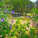 Casa Dos Sonhos, Private Terrace, Quiet Location, Walking To Village, Ecological Pool, Pets Considered, Nature Friendly *